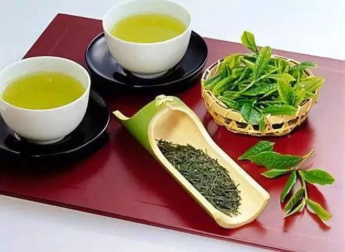 姐弟吃瓜小绿茶免费阅读,小绿茶的免费阅读之旅